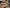 Aktionsbanner