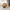 Aktionsbanner